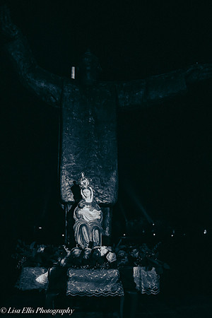 LNO_8881