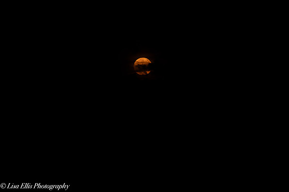 LNO_0138