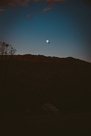 LNO_5879