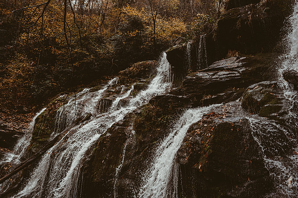 LNO_5893