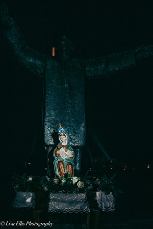 LNO_8882