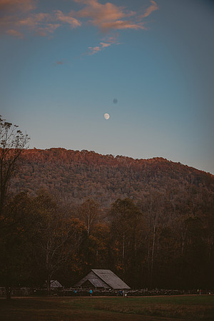 LNO_5882