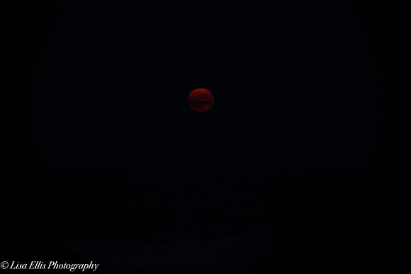 LNO_0118