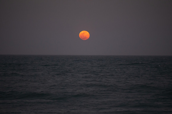 LNO_1097-2